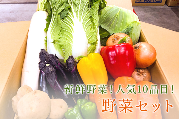 【送料無料】テレワーク応援セール 人気10品目野菜セット 1日数量限定【お買得】