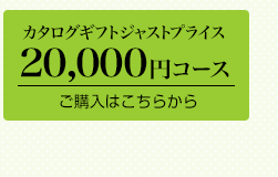20000円コース