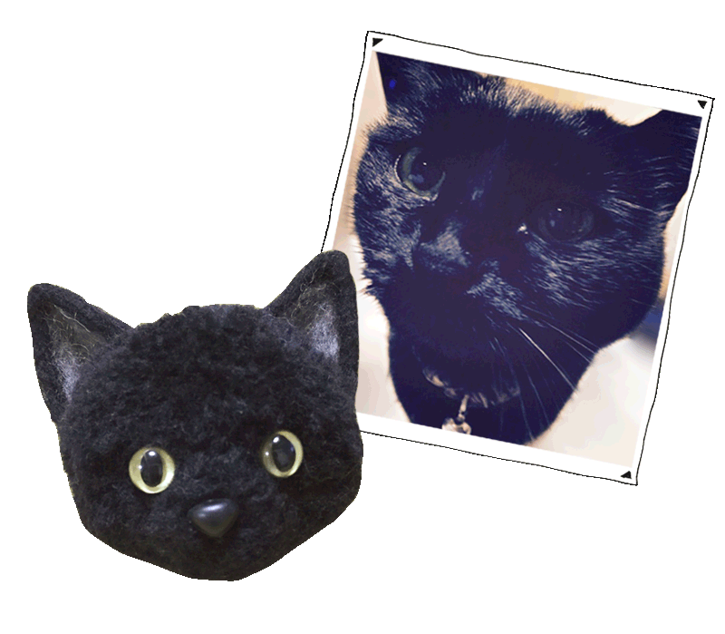黒猫ぽんぽんと黒猫