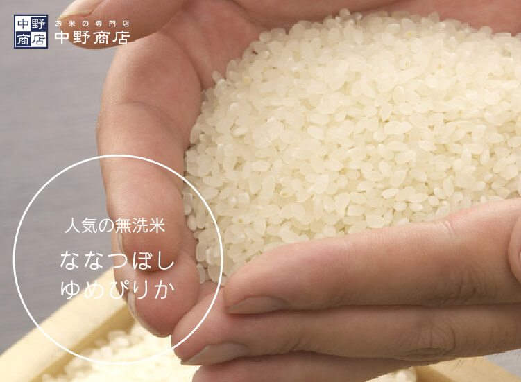人気の無洗米