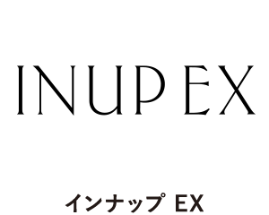 INUP EX（インナップEX）