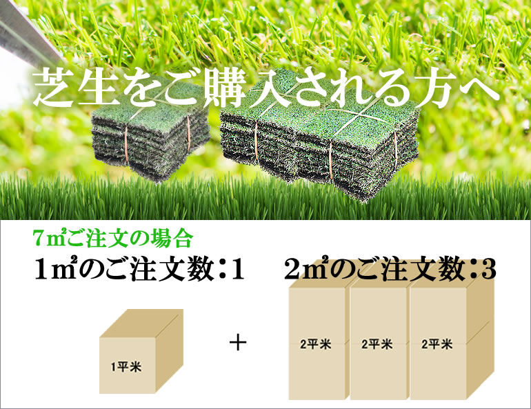 楽天市場 ガーデニング 芝生の植え方 販売と手入れ メンテナンス 各種芝生 1平米 日本芝 暖地型西洋芝 プロジェクト鹿児島