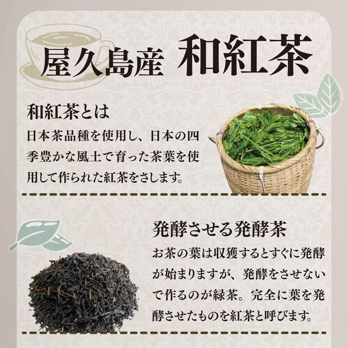 屋久島和紅茶