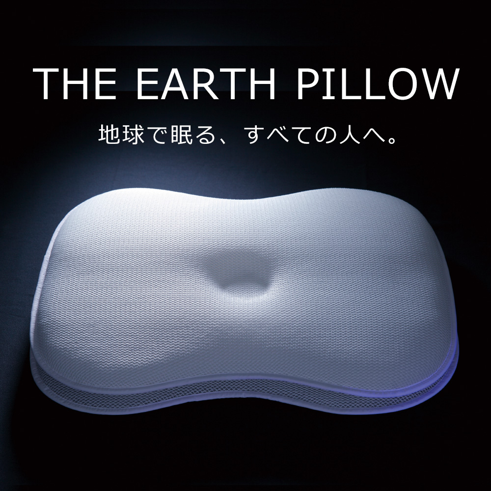 THE EARTH PILLOW