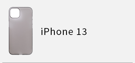 iPhone 2021 6.1 ×2
