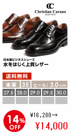 クリスチャンカラノ 日本製 本革 撥水 ビジネスシューズ キングサイズ レザーシューズ キングサイズ レースアップ ウイングチップ 3E メンズ 靴 黒 茶 短靴 27：\14,000円