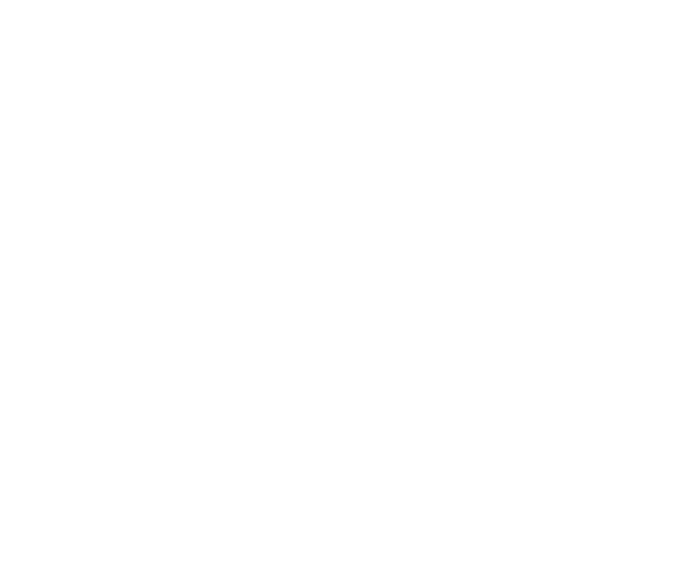 Euro Japan Elegane