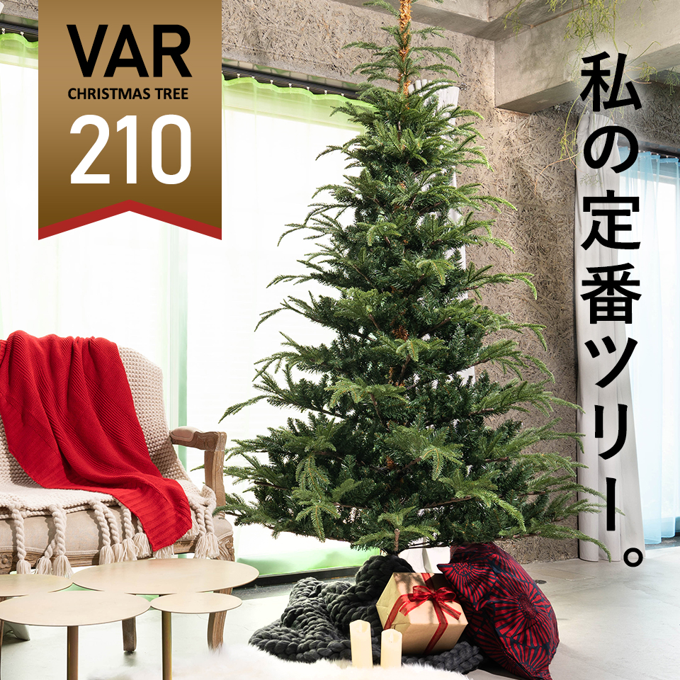 210cm VAR ヴァール クリスマスツリー 高級 フィンランド ヌードツリー クリスマス ツリー VAR ヴァール 本物のモミの木に近いヌードツリー 幹の色にもこだわり まるで本物 インスタ 超リアル[ヌードツリー][送料無料] ピカキュウホーム ピカキュウhome