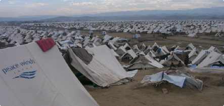 国内避難民キャンプの設営（アフガニスタン北部）