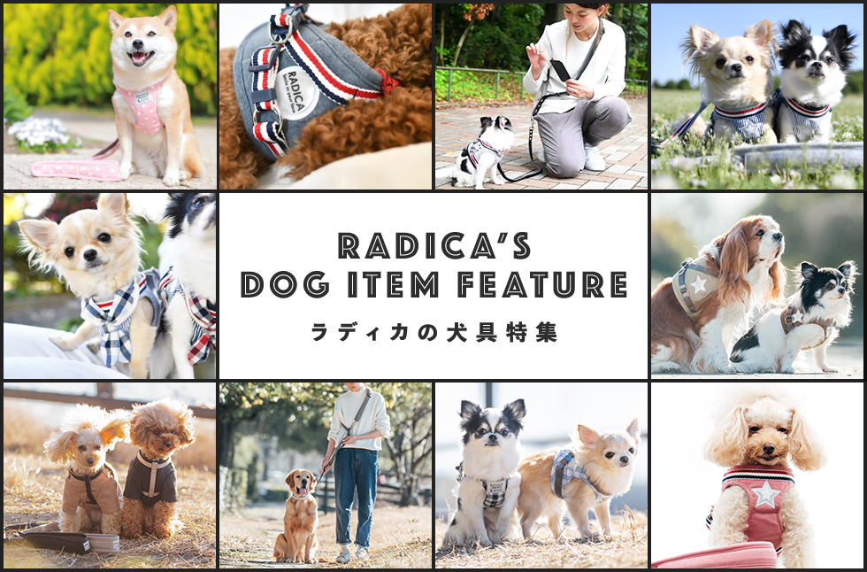 ラディカの犬具特集-RADICA'S DOG ITEM FEATURE