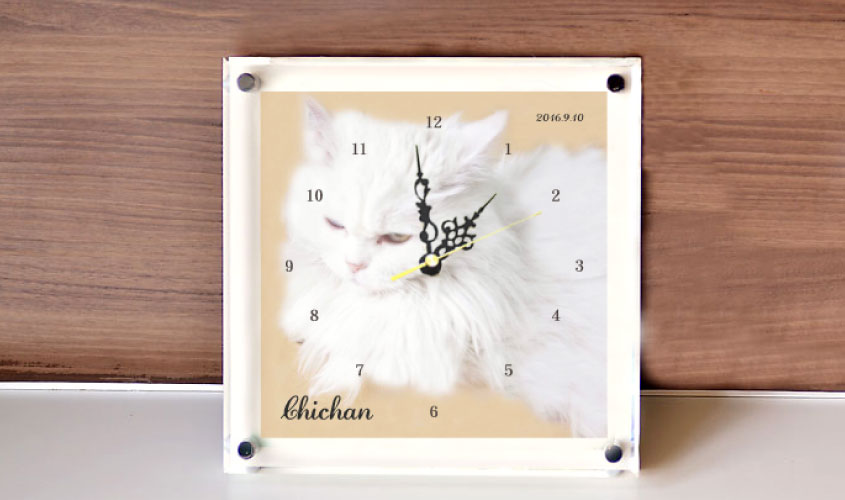 猫のちーちゃんの写真を時計にした画像