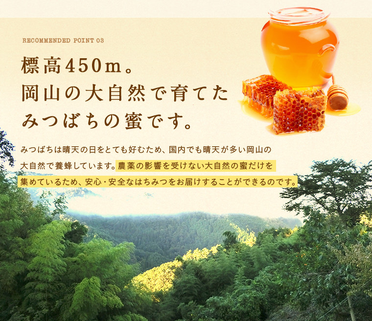 標高450m。岡山の大自然で育てたみつばちの蜜です。
