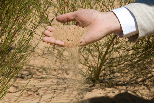 ルイボスティーが育つ土壌