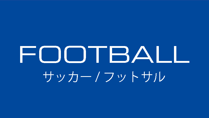 当店の記念日R×L(アールエル) サッカーTOKYO セパレートソックス FG-4000 サッカー・フットサル