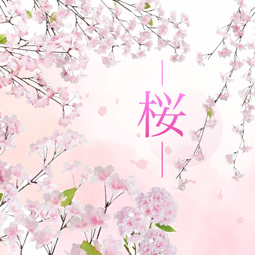 桜　サクラ　花見