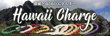 hawaii charge