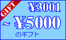 3001円～5000円のギフト