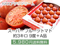 NKKアグリドリーム スーパーフルーツトマトNKKトマト3キロ