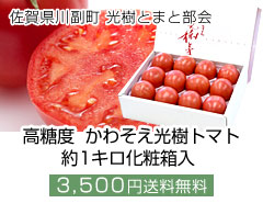 佐賀県産 高糖度 かわそえ光樹トマト 約1キロ化粧箱入