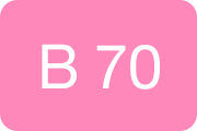 B70