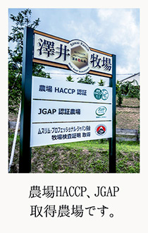 農場HACCP、JGAP 取得農場です。