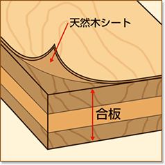天然木化粧合板_イメージ図