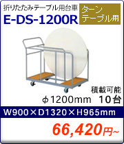 E-DS-1200R