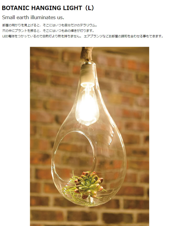 【楽天市場】スワン電器 Another garden BOTANIC HANGING LIGHT ボタニックハンギングライト Lサイズ LED