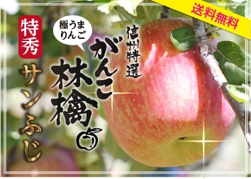りんご がんこ林檎