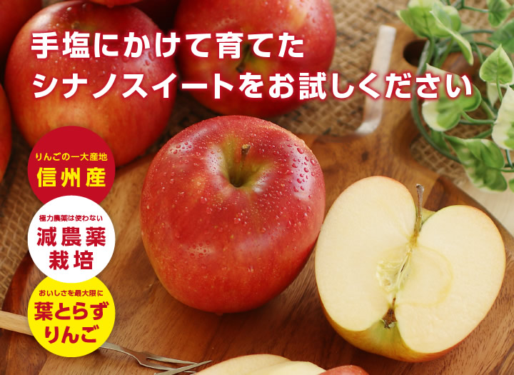 【楽天市場】【送料無料】長野産 りんご シナノスイート 3kg 秀品 | 産地直送 葉とらずリンゴ リンゴ 林檎 信州 フルーツ 旬のフルーツ