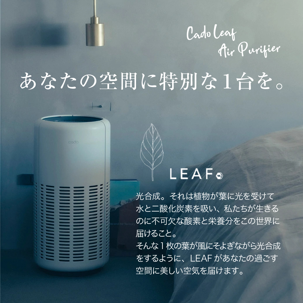 �����腥堺�羝��罘�leaf250