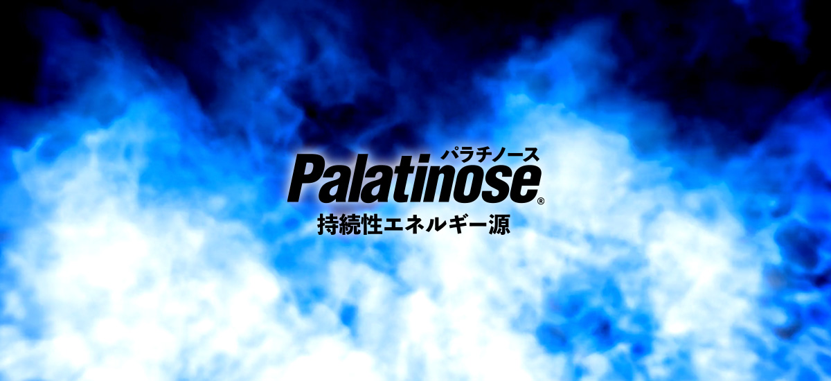 Palatinose パラチノース