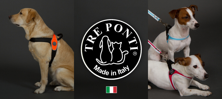楽天市場】 PET / ペット > カラー・リード・ハーネス > Tre Ponti / トレポンティ : Starry shop-R