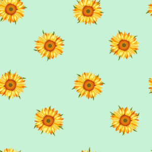 sunflower-g