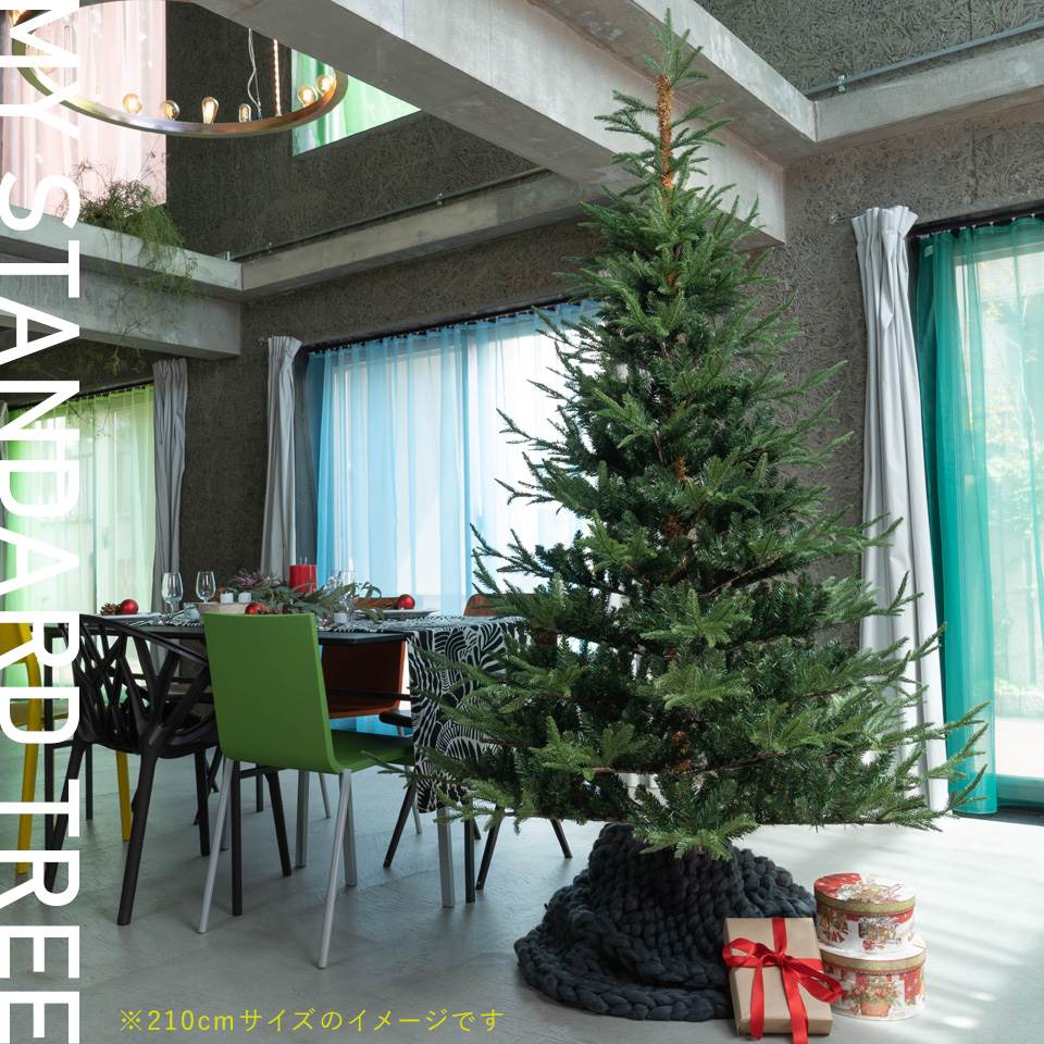 Mane モーネ クリスマスツリー 210cm 高級 フィンランド ヌードツリー クリスマス ツリー Mane モーネ オーナメントセット なし 本物のモミの木に近いヌードツリー ポイント10倍 Sungood サ