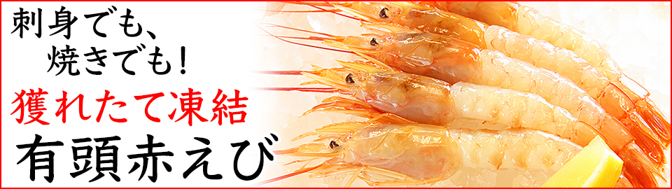 楽天市場 寿司ネタ 赤にし貝カットｓ9 11ｇ 枚 すしねた 生食用 スライス のせるだけ アカニシ貝 刺身用 あかにし貝 海鮮丼 寿司 総合卸売スシックス
