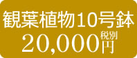 20000円