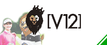 V12