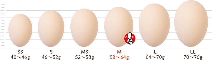 鶏卵別サイズ比較：卵の大きさと種類