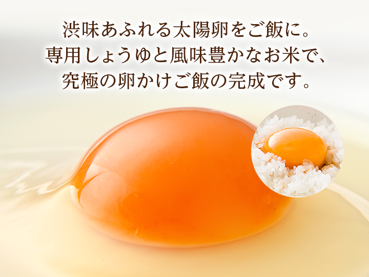 渋味あふれる太陽卵をご飯に専用しょうゆと風味豊かなお米で究極の卵かけご飯の完成です
