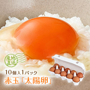 九州産新鮮卵「太陽卵」10個入り1パック