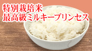 特別栽培米最高級ミルキープリンセス
