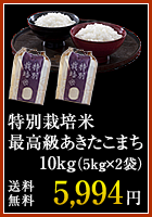 特別栽培米最高級あきたこまち10kg