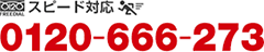 ե꡼롡0120-666-273