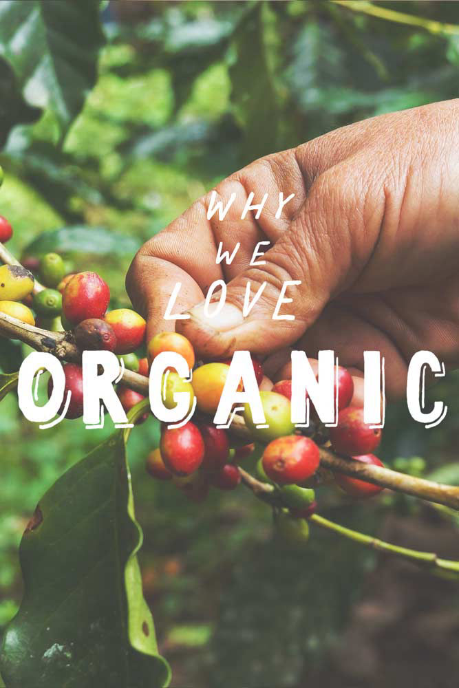 why we love organic