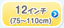 12C`(75`110cm)