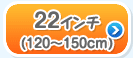 22C`(120`150cm)