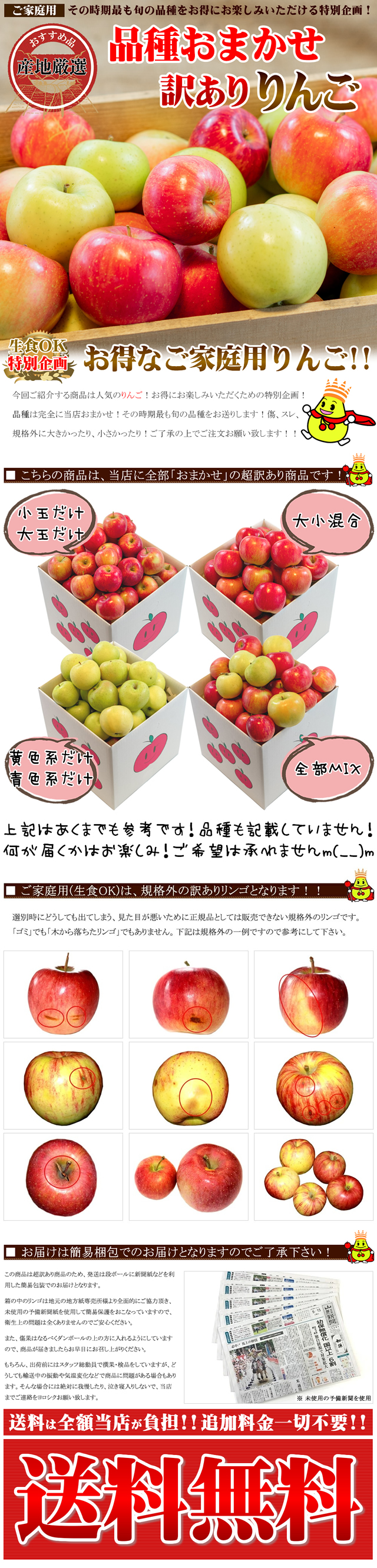 注文割引 期間限定 青森県産 ふじ りんご 家庭用 6~8玉 ⑲
