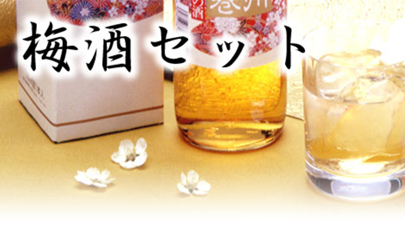 梅いちばん 紀州絵巻と黄金漬のセット