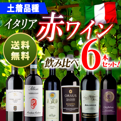 土着品種イタリア赤ワイン　飲み比べ6本セット